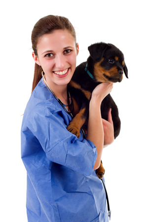 Brunette veterinary with a rottweiler puppy dog isolated on white backgroundの写真素材