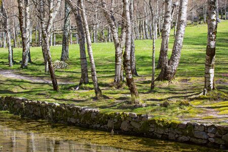 Covao d'ametade in the Serra da Estrela Natural Park. Portugalの写真素材