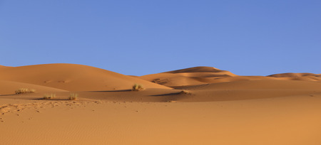 sahara desert dunes, in Moroccoの写真素材
