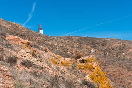 Island of Berlenga lighthouse, in Portugalの写真素材