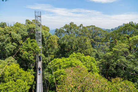 View of Ulu Temburong National Park or fathul park, in Temburong District in eastern Brunei from canopy walkwayのeditorial素材