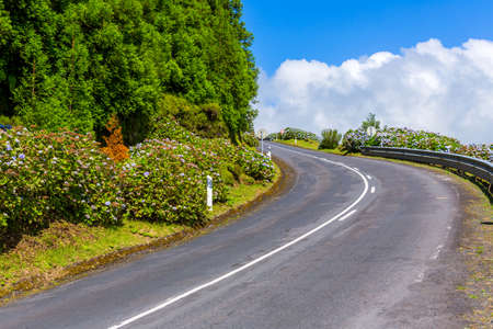 road surrounded by green vegetation on Sao Miguel Island, Azores, Portugalの写真素材