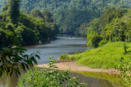 Temburong River, Virgin Rainforest, Ulu Temburong National Park, Brunei