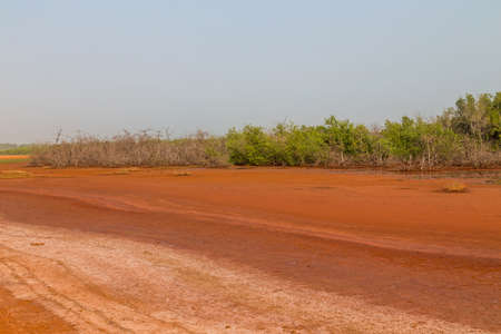the swamps outside Bissau in summer, Guinea-Bissauの写真素材
