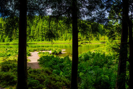 Lagoa do Canario. View of the green lagoon of Canary lake in Sao Miguel island, Azores, Portugal on...