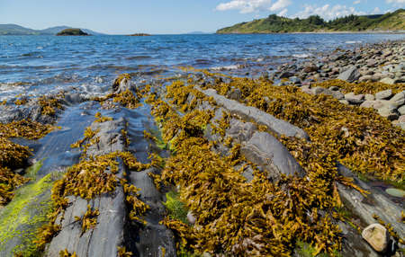Picturesque view from Whiddy Island coast in County Cork, Irelandの写真素材