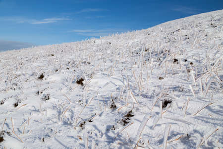 Snow in the the Paps of Anu, Co Kerry, Ireland