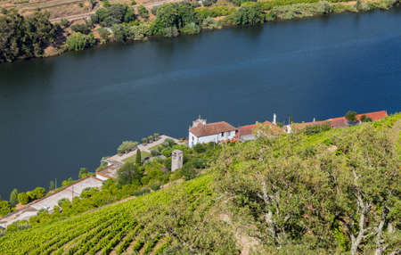 Douro Valley. Vineyards landscape of the Porto wine, near Pinhao village, Portugal. View from Casal...