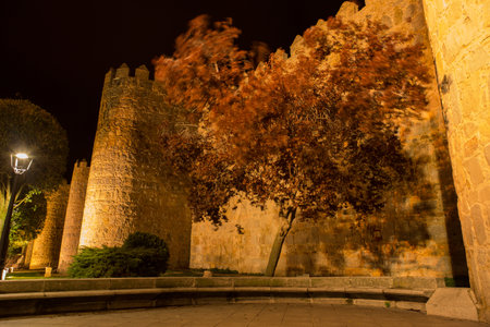 Avila walls at night, Castile and Leon, Spain