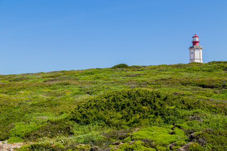 Lighthouse on top of cliff and surrounded by vegetation at Cape Espichel, Portugalの写真素材
