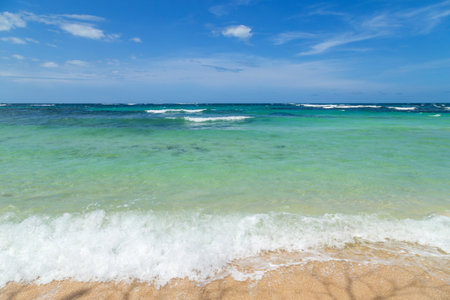 Tropical ocean atlantic beach in Panamaの写真素材