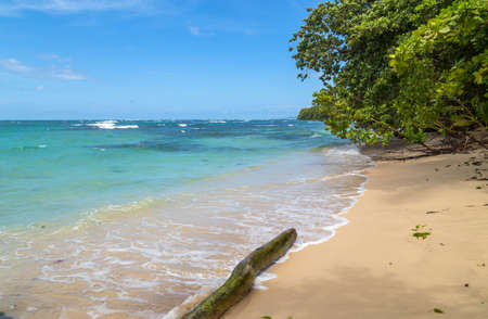 Tropical ocean beach with trees in Panamaの写真素材