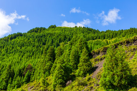 Beautiful landscape sceneries in Azores Portugal. Tropical nature in Sao Miguel Island, Azores.の写真素材