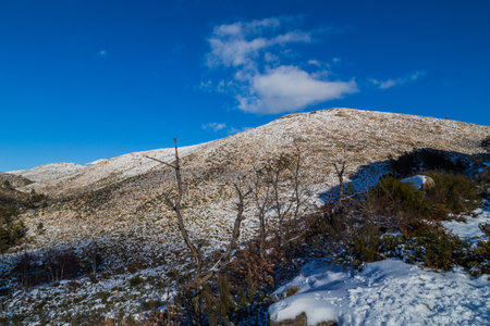 Winter landscape with snow in mountains of Serra do Geres natural park, Portugalの写真素材