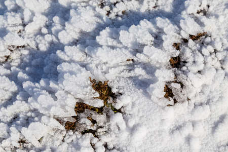Snow in the the Paps of Anu, Co Kerry, Irelandの写真素材