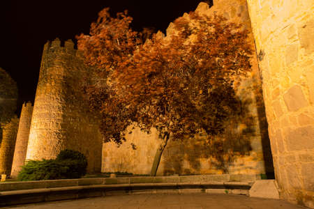 Avila walls at night, Castile and Leon, Spainのeditorial素材