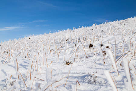 Snow in the the Paps of Anu, Co Kerry, Irelandの写真素材