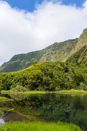 Azores landscape with waterfalls and cliffs in Flores island. Portugal.の写真素材