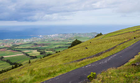Top view of farm fields in the Terceira island in Azores, Portugalの写真素材