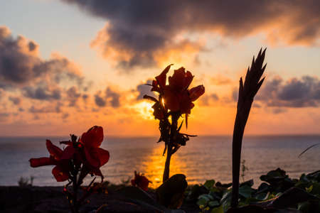 Beautiful sunset in Santa Cruz das Flores - Flores Island - Azores Portugalの写真素材