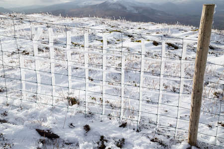 fence detail with snow at the the Paps of Anu, Co Kerry, Irelandの写真素材