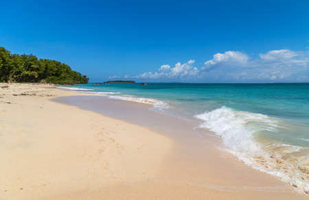 Tropical ocean beach with palm trees in costa ricaの写真素材