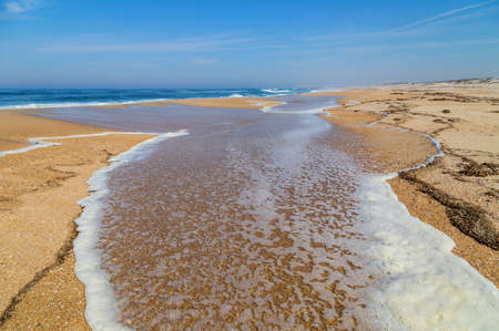 Beautiful empty beach near Aveiro, Portugalの写真素材