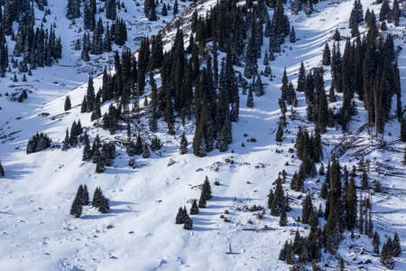 Winter Snowy Mountains valley with sun in Ak Bulak, Almaty, Kazakhstan, Asiaの写真素材
