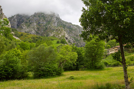 View of the fields and mountains at Picos de Europa, Asturias, Spainの写真素材