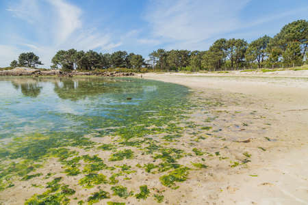 Beautiful beach in Isla de Ons, Galicia, Spain.のeditorial素材