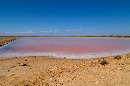 Salinas de Bonanza in Sanlucar de Barrameda, Cadiz. Emblematic site in Andalusia, Spainの写真素材