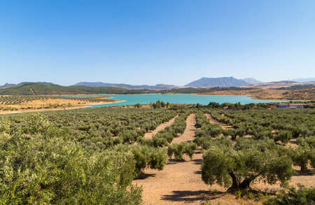 Blue lake in Zahara de la Sierra in Sierra de Grazalema natural park, Cadiz province, Malaga, Andalusia, Spainの写真素材
