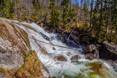 Stream in High Tatras mountains, Carpathia, Slovakiaの写真素材