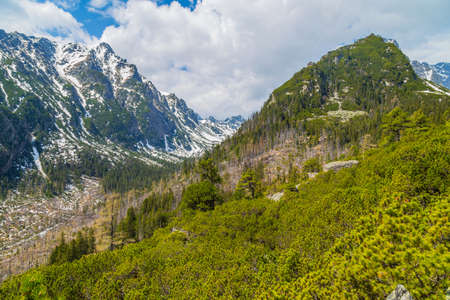 View of High Tatra Mountain Range in Slovakia.の写真素材