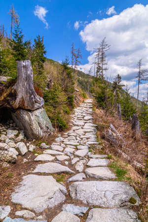 View of High Tatra Mountain Range in Slovakia.の写真素材