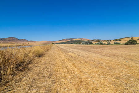 Landscape of Sierra de Grazalema natural park, Cadiz province, Malaga, Andalusia, Spainの写真素材
