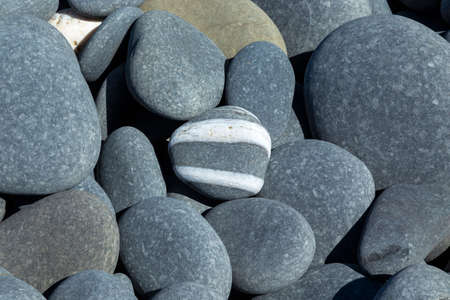 Beach rocks detail, coast of Portugal. Aljezur. Algarveの写真素材