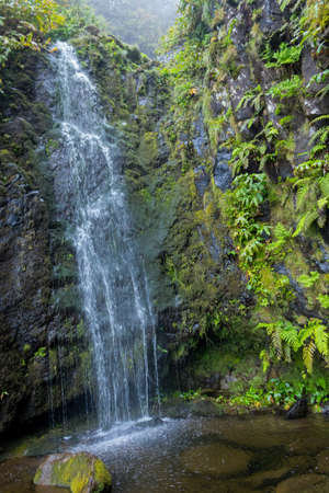Azores waterfalls and cliffs in Flores island. Portugal.の写真素材