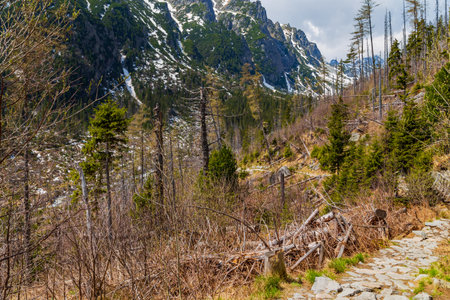 View of High Tatra Mountain Range in Slovakia.の写真素材