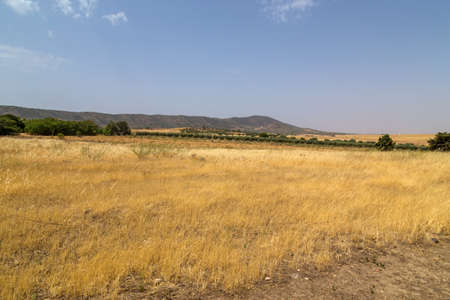 Landscape of Sierra de Grazalema natural park, Cadiz province, Malaga, Andalusia, Spainの写真素材