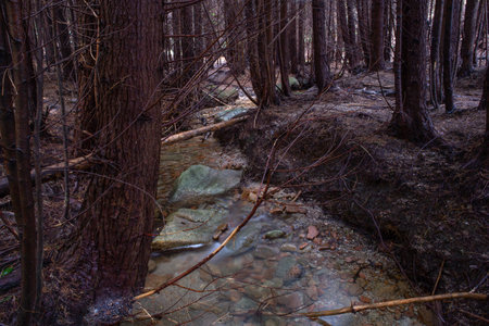 Small river in the portuguese natural park of Penada Geres. Portugakの写真素材