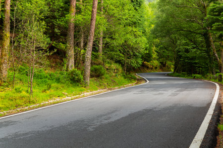Spring landscape with road and beautiful trees, in Geres, portuguese national Park. North of Portugalの写真素材