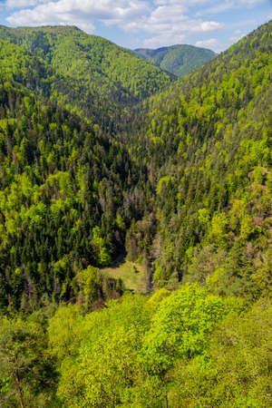 View from Tomasovsky Vyhlad in Slovak Paradise National Park.の写真素材