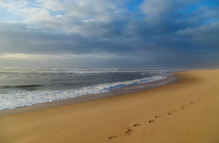 Beautiful empty beach near Figueira da Foz, Portugalの写真素材