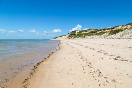 Beautiful isolated beach in Mozambiqueの写真素材
