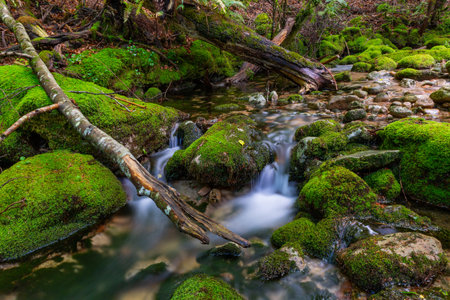 river waterfall in the portuguese national park of Geres, in the north of the countryの写真素材