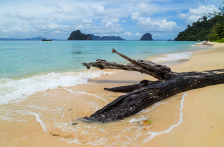 Paradise beach in Koh ngai island, Trang,Thailandの写真素材