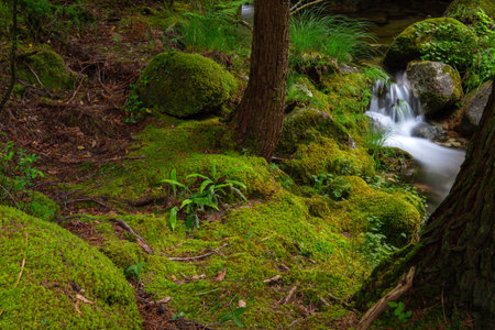 river waterfall in the portuguese national park of Geres, in the north of the countryの写真素材