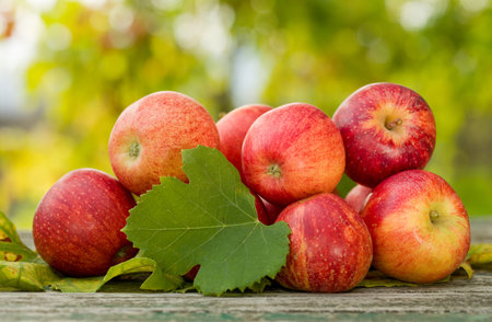 Close-up of few organic red apples on a wooden table. Tree leaves between fruits.の写真素材