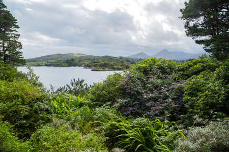 Landscape in a bay near Glengarriff harbor. View from Glengarriff guay to Garinish Island.の写真素材